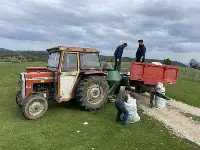 Karagöl yaylasında Meralara Gübre Atıldı.