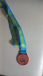 51.uluslararası Mendeleyev Kimya Olimpiyatları