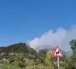Taraklı'da Orman yangını!
