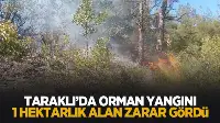 Taraklı'da Orman yangını!