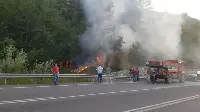 Taraklı'da orman yangını! Facianın önüne geçildi