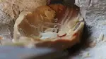 Zamanın gözde mesleğiydi, teknolojiye yenildi