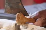 Zamanın gözde mesleğiydi, teknolojiye yenildi