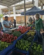 CHP MİLLETVEKİLİ AYÇA TAŞKENT TARAKLI’DA PAZARI GEZDİ