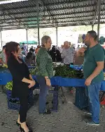 CHP MİLLETVEKİLİ AYÇA TAŞKENT TARAKLI’DA PAZARI GEZDİ