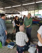 CHP MİLLETVEKİLİ AYÇA TAŞKENT TARAKLI’DA PAZARI GEZDİ