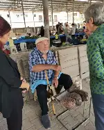 CHP MİLLETVEKİLİ AYÇA TAŞKENT TARAKLI’DA PAZARI GEZDİ