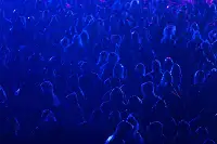 Başı Bozuk Bekleyiş