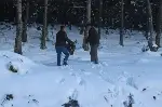 Kar altında doğada yaşayan hayvanlar unutulmadı