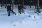 Kar altında doğada yaşayan hayvanlar unutulmadı