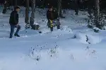 Kar altında doğada yaşayan hayvanlar unutulmadı
