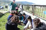 21 Mart Dünya Ormancılık Haftası