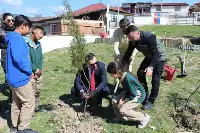 21 Mart Dünya Ormancılık Haftası