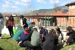 21 Mart Dünya Ormancılık Haftası