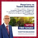 Tacettin Özkaraman Projeleri