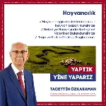 Tacettin Özkaraman Projeleri