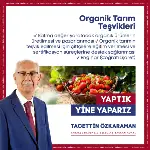 Tacettin Özkaraman Projeleri