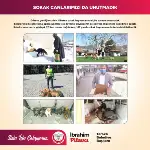 İbrahim Pilavcı: Yaptıklarımız ve Yapacaklarımız