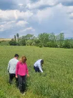 Taraklı’da Kuraklıkla Mücadele Çalışmaları