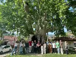 Şehir ve Kültür Akademisi Taraklı’da Yalaza Paneli ile Sona Erdi