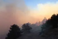 Komşu Göynük'te orman yangını!