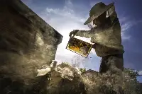 Kültürleriyle Sakarya Fotoğraf yarışmasında Taraklı'dan Fotoğraf