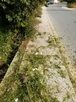 Taraklı Belediyesi'nden Kapsamlı Temizlik Çalışmaları