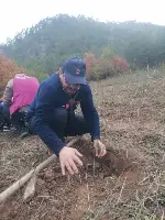 Taraklı’da Milli Ağaçlandırma Günü’nde 500 Fidan Toprakla Buluştu