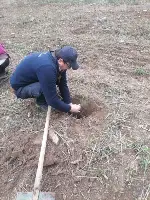 Taraklı’da Milli Ağaçlandırma Günü’nde 500 Fidan Toprakla Buluştu