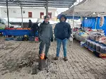 Soğuk Hava ve Kar pazarı etkiledi