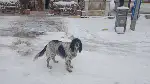 Kar Altında Taraklı'da Unutulmaz Bir Gün!