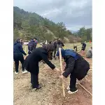 Kaymakam Tunalı Öğrencilerle Omuz Omuza Verip Ağaç Dikti