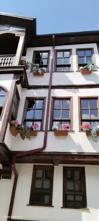 Doktordan Taraklı İçin Çarpıcı Çağrı: O Yol Kenarları Çiçek Bahçesi Olsun!