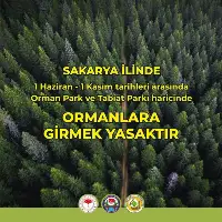 Ormanlara Giriş Tam 5 Ay Yasaklandı!