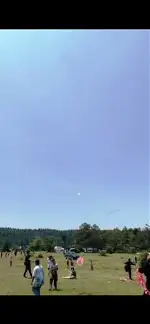 Karagöl yaylasında uçurtma şenliği