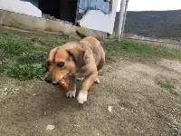 Can dostlarımızı unutmayalım