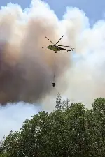 Taraklı’da Orman Yangını :Sakarya Valisi Rahmi Doğan, Yangın Bölgesinde Çalışmaları Yerinde Koordine Ediyor