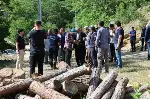 Başkan Yusuf Alemdar yangın felaketinin yaşandığı Taraklı’da
