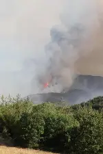 Sakarya Valisi Rahmi Doğan, Taraklı’daki Orman Yangını Alanında İncelemelerde Bulundu