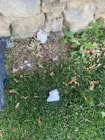 Lütfen hem doğayı, hem tarihimizi çöpe atmayalım.