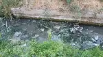 Kötü koku mahalleliyi bıktırdı!