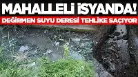 Kötü koku mahalleliyi bıktırdı!