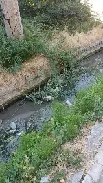 Kötü koku mahalleliyi bıktırdı!