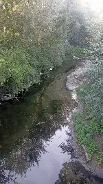 Kötü koku mahalleliyi bıktırdı!