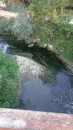 Kötü koku mahalleliyi bıktırdı!