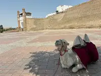 Siyaha Büründüğümüz Şehir: Buhara (Türkistan Notları-8)