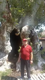 Bu Yazı, Tarihi Çınarın Gölgesinde Yazıldı.