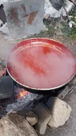 Taraklı’da Salça Kazanları Kaynıyor