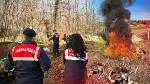 Tavuk Çiftliklerine Denetim ve Ceza