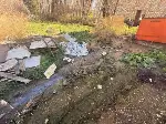 Tavuk Çiftliklerine Denetim ve Ceza